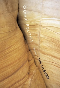 Enlarge image Cover: Orphic Politics - McClelland & Stewart Inc.