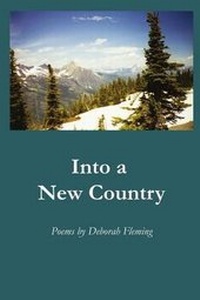 Enlarge image Cover: Into a New Country - Wordtech Communications LLC