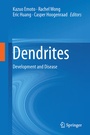 Cover: Dendrites - Springer