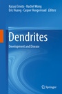 Cover: Dendrites - Springer