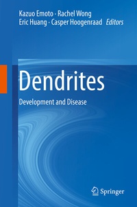 Abbildung von: Dendrites - Springer