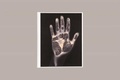 Cover: Gary Schneider Handbook - South African Artists - Fourth Wall Books