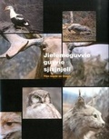 Cover: Gerard Byrne - Mead Gallery, Warwick Arts Centre