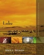 Cover: Luke - Zondervan Academic