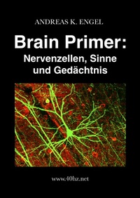 Abbildung von: Brain Primer: Nervenzellen, Sinne und Gedächtnis - Andreas K. Engel (Eigenverlag)