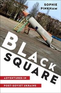 Enlarge image Cover: Black Square - WW Norton & Co