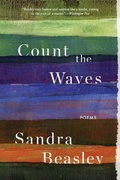 Cover: Count the Waves - WW Norton & Co