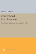 Cover: Undermined Establishment - Princeton University Press