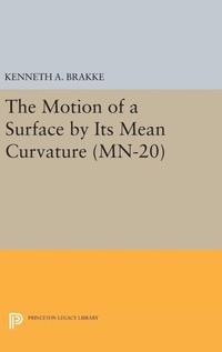Abbildung von: The Motion of a Surface by Its Mean Curvature - Princeton University Press