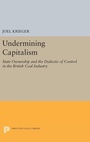 Cover: Undermining Capitalism - Princeton University Press