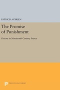 Cover: The Promise of Punishment - Princeton University Press