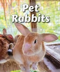 Enlarge image Cover: Pet Rabbits - Enslow Publishing