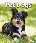 Cover: Pet Dogs - Enslow Publishing