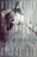 Cover: Meet Me in the Middle of the Air - Undertow Publications