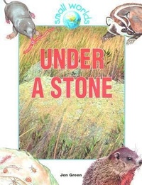 Enlarge image Cover: Under a Stone - Crabtree Publishing Co,Canada