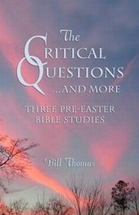 Enlarge image Cover: The Critical Questions...and More - CSS Publishing Company