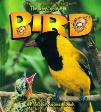 Enlarge image Cover: The Life Cycle of a Bird - Crabtree Publishing Co,Canada
