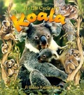Cover: The Life Cycle of the Koala - Crabtree Publishing Co,Canada