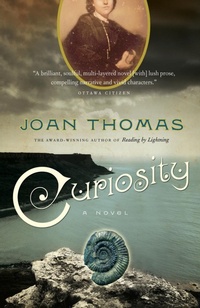 Enlarge image Cover: Curiosity - McClelland & Stewart Inc.