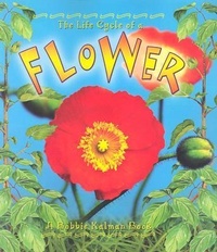 Enlarge image Cover: The Life Cycle of the Flower - Crabtree Publishing Co,Canada
