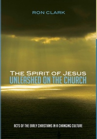 Enlarge image Cover: The Spirit of Jesus Unleashed on the Church - Wipf & Stock Publishers