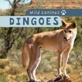 Cover: Dingoes - PowerKids Press