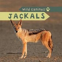Enlarge image Cover: Jackals - PowerKids Press