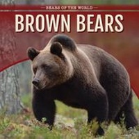 Enlarge image Cover: Brown Bears - PowerKids Press