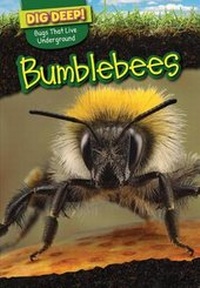Enlarge image Cover: Bumblebees - PowerKids Press