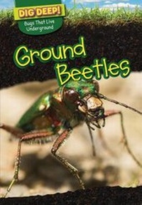 Enlarge image Cover: Ground Beetles - PowerKids Press