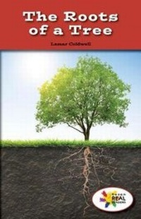 Enlarge image Cover: The Roots of a Tree - Rosen Classroom