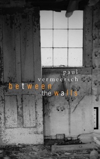 Enlarge image Cover: Between the Walls - McClelland & Stewart Inc.