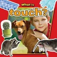 Enlarge image Cover: What is Touch? - Crabtree Publishing Co,US