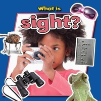 Enlarge image Cover: What is Sight? - Crabtree Publishing Co,US