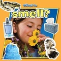 Cover: What is Smell? - Crabtree Publishing Co,US