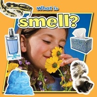 Enlarge image Cover: What is Smell? - Crabtree Publishing Co,US