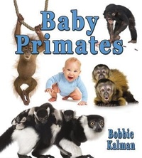 Enlarge image Cover: Baby Primates - Crabtree Classics