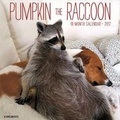 Cover: Pumpkin the Raccoon 2017 Wall Calendar - Willow Creek Press Calendars