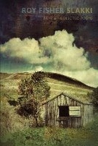 Enlarge image Cover: Slakki - Bloodaxe Books Ltd