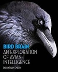 Cover: Bird Brain: An exploration of avian intelligence - Ivy Press