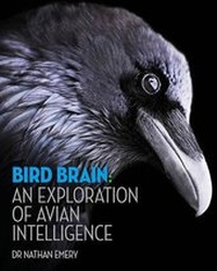 Enlarge image Cover: Bird Brain: An exploration of avian intelligence - Ivy Press