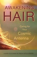 Cover: Awakening Hair - Sundream Publishing