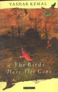 Cover: The Birds Have Also Gone - Vintage Digital