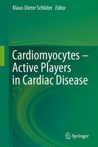Abbildung von: Cardiomyocytes - Active Players in Cardiac Disease - Springer