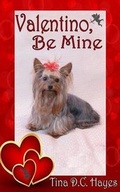 Cover: Valentino, Be Mine - Hazy Moon Ink