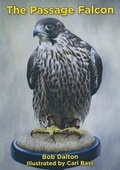 Cover: The Passage Falcon - Falcon Leisure Publishing