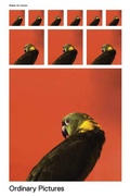 Cover: Ordinary Pictures - Walker Art Centre,U.S.