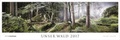 Cover: Unser Wald 2017 - Edition Panorama