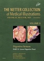 Bild: The Netter Collection of Medical Illustrations: Digestive System: Part II - Lower Digestive Tract - Elsevier