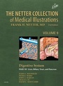 Cover: The Netter Collection of Medical Illustrations: Digestive System: Part III - Liver, etc. - Elsevier